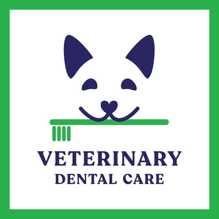 Veterinary Dental Care