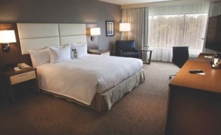 DoubleTree by Hilton Williamsburg King Room
