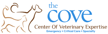 The COVE - Center of Veterinary Expertise